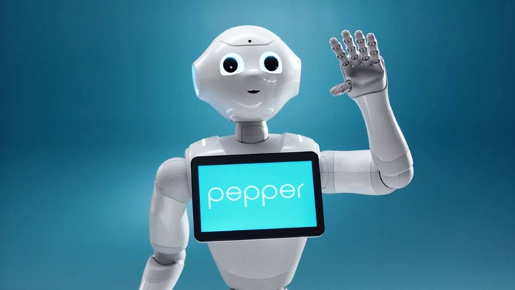 Conversational UX on Pepper the Robot ude1366