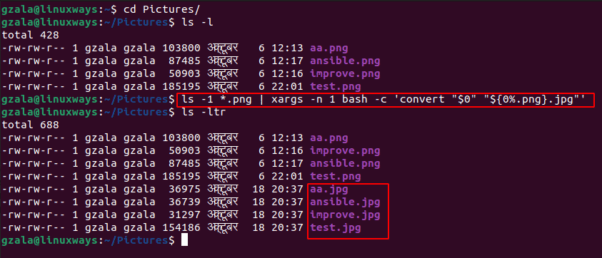 Linux Command Line: Basic Commands ude1429