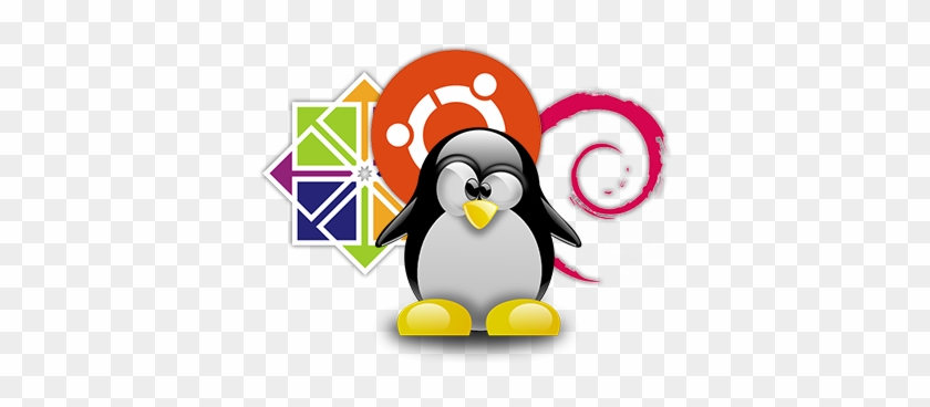 Linux with Ubuntu and CentOS ude1441