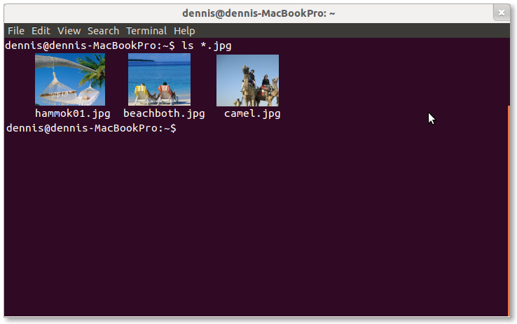 Linux Command Line ude1458
