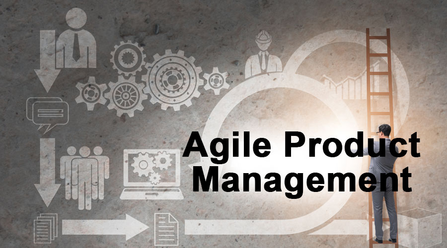 Agile Product Management : A concise introduction ude163