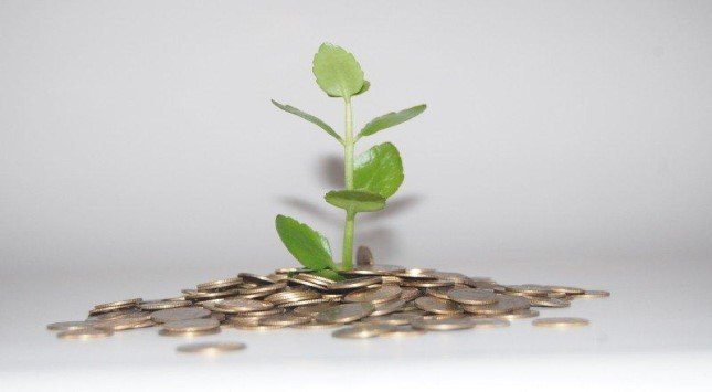 Basic Personal Finance: Budgeting & Cash Flow Projection ude17