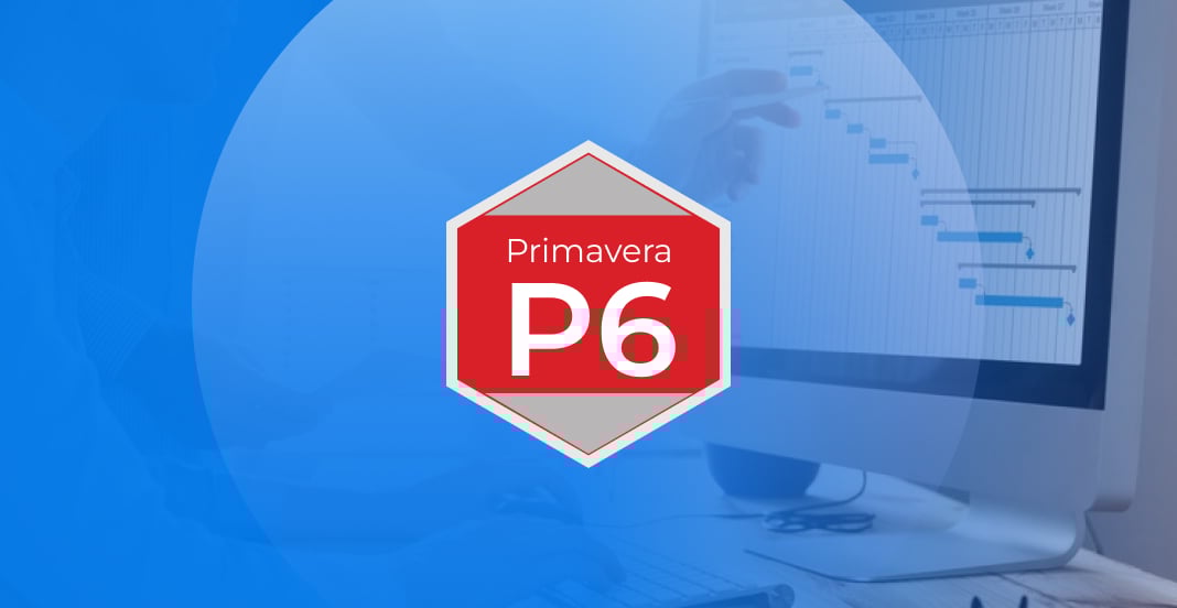 Primavera P6 Foundations ude1720