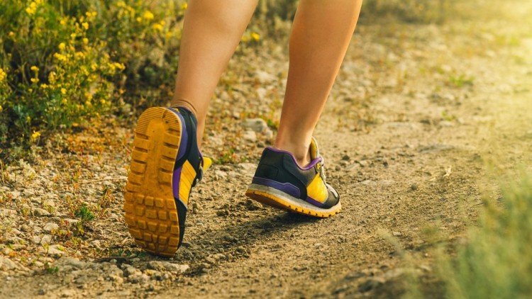 PT Gait Analysis and Deviations ude1746