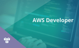 AWS Developer Associate training ude214