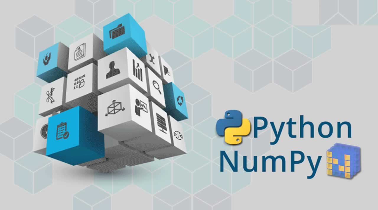 NumPy Fundamentals (Python Library for Data Science) ude346