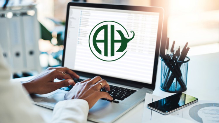 Financial Accounting Primer ude38