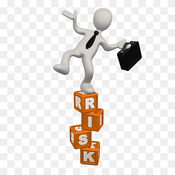 Risk Identification ude648