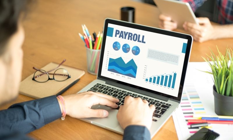 Payroll Processing in UAE - For Professionals ude69