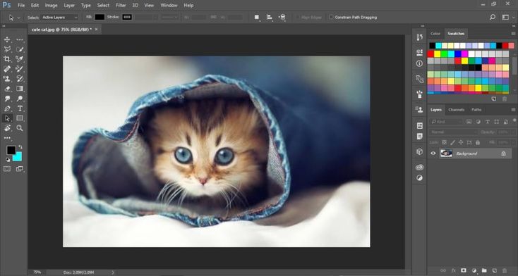 Things you must know in Photoshop ude92