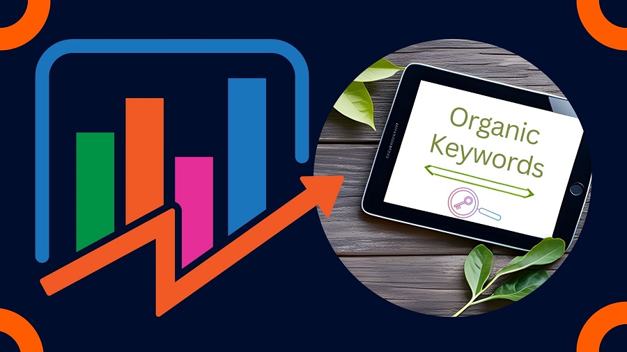 Organic Search And Keywords ude998136