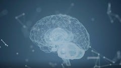 Strengthen Your Mental Wellness ude_2025912435