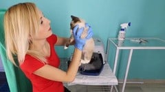 How to Keep Your Cat Healthy Masterclass ude_2025912519