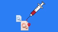 Advanced Malware Tactics: Process Injection in Windows ude_2025912560