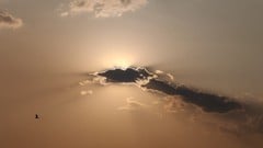 Deep Scrum - Running Scrum Events- In Day to Day Life ude_2025912568