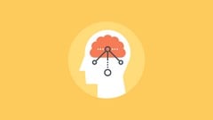 Mindfulness and Neuroplasticity ude_2025912697