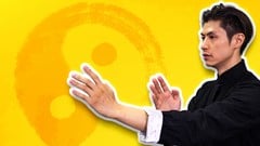 Wing Chun Techniques and Applications - Martial Art Moves ude_2025912752