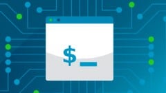 Shell Scripting ude_2025912863