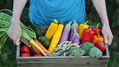 Getting Started Stocking Your Pantry for Winter ude_2025912923