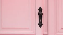 The Professional Portfolio ude_2025912942