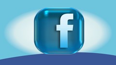 Facebook (Ads) 3.0 Made Easy: Fast Track Training ude_2025913011
