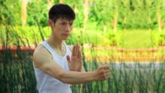 Learn Wing Chun Sil Lim Tao At Home FREE! With David Wong ude_2025913016