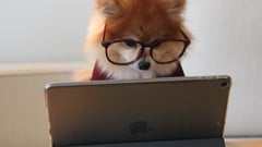 Xero Set Up: Small Business Accounting ude_2025913028