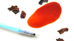 Calligraph-ink: Introduction To Natural Ink Making ude_2025913088