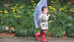 Allow yourself to feel (occasionally) stupid! ude_2025913183