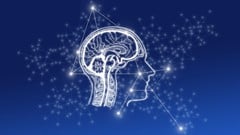 Personal Development Tool Box ude_2025913211