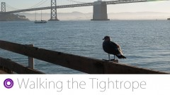 10 Steps to an AwesomeSauce You! (Step 7) ude_2025913260