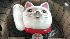 System Security Plan (SSP) for NIST 800-171 Compliance ude_2025913302