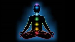 The 7 Chakras ude_2025913307