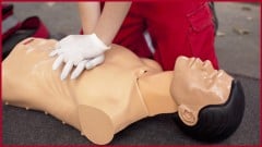 Basic Life Support (BLS) ude_2025913341