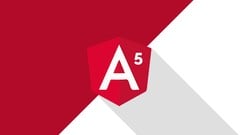 Learn Angular 5 from Scratch ude_2025913344
