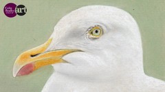 Draw a Simple Seagull using Pastel Pencils for Beginners ude_2025913400