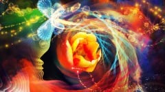 How to Transform Your Life By Transforming Your Mind ude_2025913453