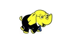 Hadoop Basic Course for Beginners to Professionals ude_2025913477