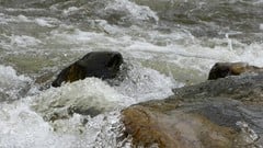 How childhood and family history affect our happiness ude_2025913483