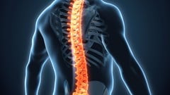 Cosmic Healing ~ Pranayama : Back Pain and Healthy Spine ude_2025913491