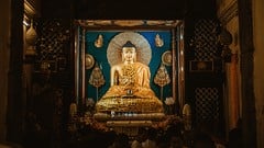 Cultivating Compassion: A Complete Buddhist Course ude_2025913696