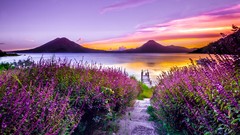 RESET: Reclaim Your Mind and Attract What Matters ude_2025913729