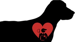 Animal Control Officer- How to find a dog's home ude_2025913762