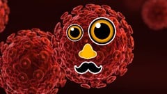 Mitigating the Effects of COVID-19 in reopened Economies ude_2025913774