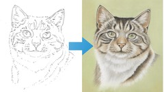 Learn to Draw a Tabby Cat | Amazing Results for Beginners ude_2025913863