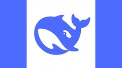 Deepseek R1 AI - Learn the Basics ude_2025914090