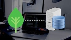 Spring REST API for Beginners ude_2025914093