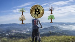 Using the Bitcoin Cycle for Financial Freedom & Retirement ude_2025914112
