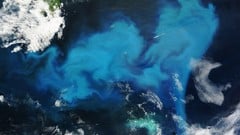 Building Bridges: Intro to Ocean AI and AI Literacy ude_2025914172