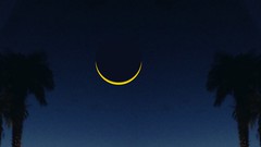 Pearl Escapes Fear of Success Awareness Training ude_2025914281